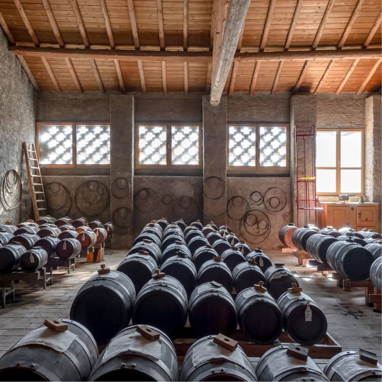 01 Acetaia Cavazzone